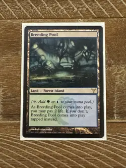 Magic the Gathering - Enemy Shock Lands - 1 Cycle - Various Sets - Image 2