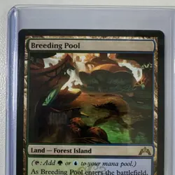 Breeding Pool Gatecrash Land Rare Multi-Color 240/249 Mike Bierek MTG 2013 - Image 3