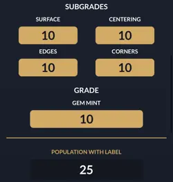 DON!! One Piece Day 24 ACE 10 2024 Promo Premium Card Collection Perfect 10 - Image 2