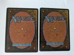 2 Pox Ice Age MTG Exc Free shipping with tracking - Image 2