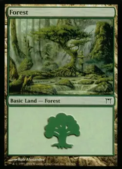 Forest (304) - Light Play MTG Champions of Kamigawa - Image 1