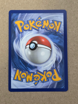 Chimchar 041 First Partner Illustration Black Star Promo Pokemon TCG - Image 2