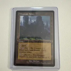 Westvale Abbey Retro Frame Land (NM Non-Foil) INR-0474 Rare MTG - Image 3