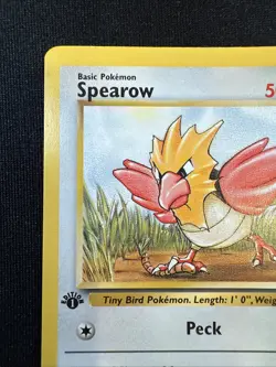 Pokemon TCG Jungle Spearow Card 62/64 Regular Common 1st Edition NP - Image 2