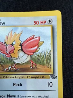 Pokemon TCG Jungle Spearow Card 62/64 Regular Common 1st Edition NP - Image 3