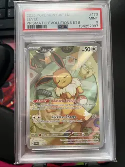 Pokemon, Scarlet and Violet, Eevee ETB Promo #173, PSA 9 - Image 4