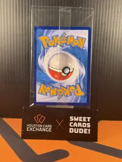 IN STOCK TCG S-Chinese Pokemon Pikachu Promo Card 013/012 Fast Shipping Sealed - Image 4