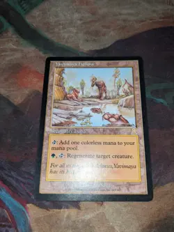 Yavimaya Hollow Urza's Destiny Regular - Image 1