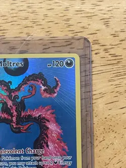 2023 Pokemon TCG Crown Zenith Galarian Moltres SWSH284 Black Star Promo - Image 3