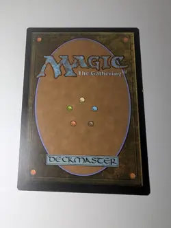 Settle the Wreckage - Ixalan | MTG Card - Image 3