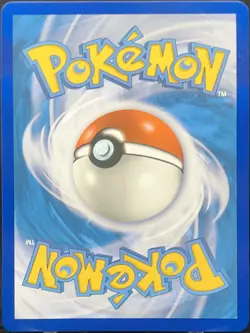 Charizard V SWSH050 SWSH: Sword & Shield Promo Cards Holo - Image 3