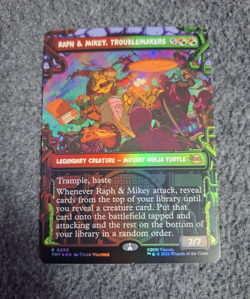 Raph & Mikey, Troublemakers (Showcase) *FOIL* - NM - MTG TMNT TMT #250 - Image 1