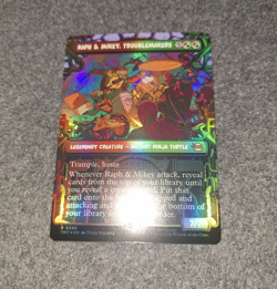 Raph & Mikey, Troublemakers (Showcase) *FOIL* - NM - MTG TMNT TMT #250 - Image 2