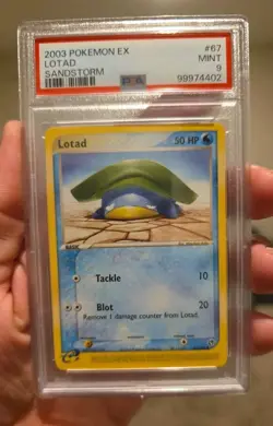 2003 POKEMON EX SANDSTORM LOTAD #67 - PSA 9 MINT - Image 3