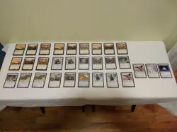 Magic The Gathering Trading Cards - 30 Card White Planeswalkers deck MTG (30/30) - Image 5