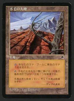 ***Japanese Wasteland (Light Indents)*** MTG Tempest Magic Kid Icarus - Image 1