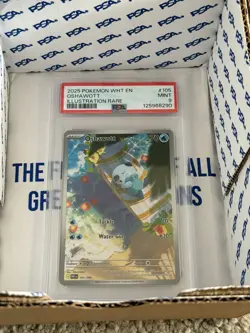 2025 POKEMON WHT EN-WHITE FLARE ILLUSTRATION RARE #105 OSHAWOTT PSA 9 - Image 2