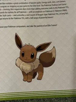Pokemon TCG Evolving Skies Player's Guide ETB Booklet Sword & Shield - Image 2