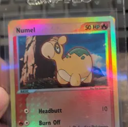 Pokemon Numel Ruby and Sapphire 61/109 Reverse Holo Common 50 HP Basic English - Image 1