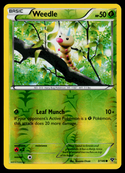Pokemon - XY - Base Weedle 3/146 Reverse Holo - NM - Image 1