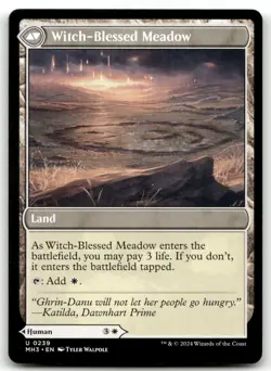 Witch Enchanter #239 (NM) Modern Horizons 3 MH3 Magic MTG - Image 2