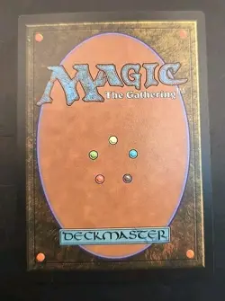 Forest (2513) Secret Lair Drop MTG Foil Near Mint - Image 2