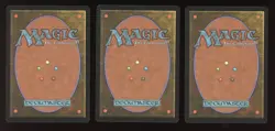 2004 MTG ROYAL ASSASSIN FOIL JUNIOR SUPER SERIES JSS DCI PROMO J05 RARE LOT OF 3 - Image 2
