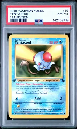 PSA 8 NM/MT 1999 POKEMON FOSSIL 56 TENTACOOL 1ST EDITION ENGLISH - Image 3