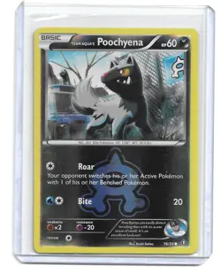 2015 Pokemon - Double Crisis Team Aqua's Poochyena #16/34 Reverse Holo - Image 1