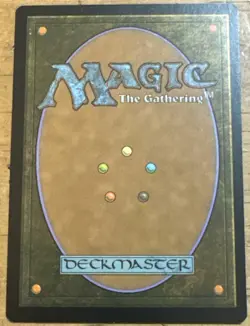 MTG Magic the Gathering Breeding Pool (246/296) Ravnica Allegiance LP - Image 2