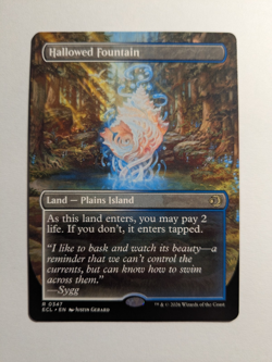 Hallowed Fountain (Borderless) Lorwyn Eclipsed Regular NM 347 MtG - Image 1