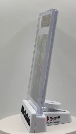 One Piece Roronoa Zoro SP PRB02-006 The Azure Sea's Seven BGS 10 2026 - Image 2