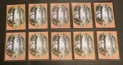 MTG English version Unglued, Island, Plains, Swamp, Forest, Mountain, Basic - Image 4