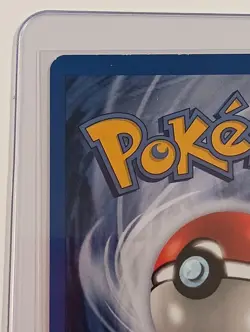 Pikachu Black Star Promo #26 Pokemon Snap Photo Pikachu WOTC 2001 LP NM - Image 3