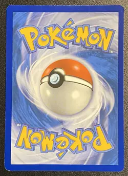 Seel Reverse Holo Common 28/108 Pokemon TCG XY Evolutions NM Free Ship - Image 2