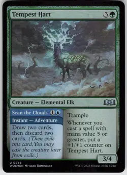 MTG Tempest Hart 238 Wilds of Eldraine U Foil NM - Image 1