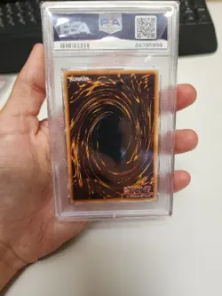 Black-Winged Dragon TSHD-EN040 - Ghost Rare PSA 5 - YUGIOH - Image 2