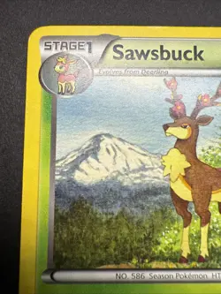 Sawsbuck 14/114 Black & White Regular Rare LP Pokemon TCG - Image 2