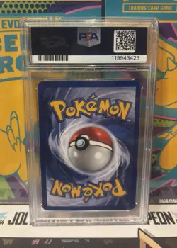 PSA 8 Feraligatr & PSA 8 Typhlosion #12 #28 Expedition 2002 Pokemon Holo Rare - Image 2