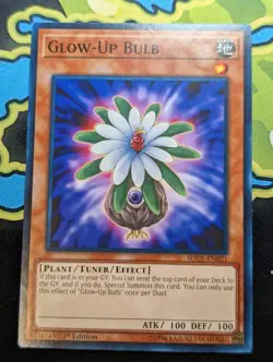 Glow-Up Bulb SDCL-EN021 - Common - YuGiOh - Image 1