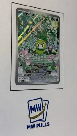 Petilil 091/086 Sv: Black Bolt Holo Pokemon TCG Illustration Rare Card - Image 2
