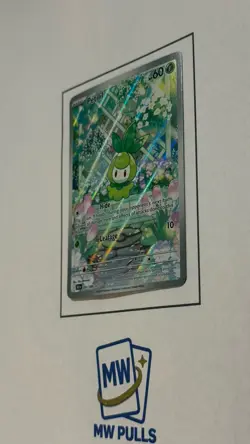 Petilil 091/086 Sv: Black Bolt Holo Pokemon TCG Illustration Rare Card - Image 3