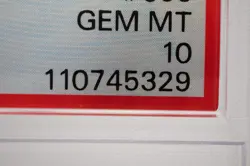 PSA 10 Raging Bolt ex SAR SV5K 095/071 Wild Force 2023 Pokemon Card Japanese ⑧ - Image 2