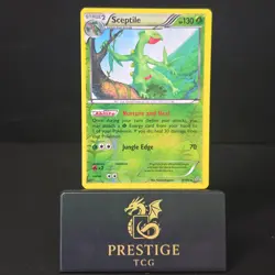 Sceptile - 8/160 - X&Y Primal Clash - Reverse Holo - Pokemon TCG - Image 1