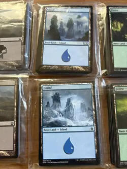 300 Magic the Gathering Basic Land Cards Lot - 60 of each type - Free shipping - Image 3