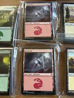 300 Magic the Gathering Basic Land Cards Lot - 60 of each type - Free shipping - Image 5