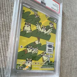 Pidgey Illustration Rare Holo Obsidian Flames #207 PSA 10 Pokemon 2023 - Image 3