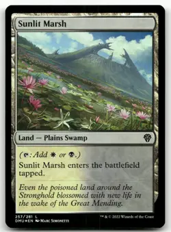 Sunlit Marsh #257 (Foil) (NM) Dominaria United DMU Magic MTG - Image 1