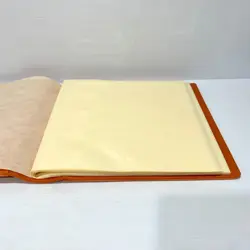 Official Pokemon Flareon 12-Pocket Card Binder - 480-Slot - Free Postage - Image 5