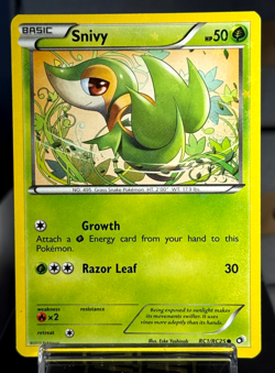 SNIVY SERVINE SERPERIOR RC3 HOLO RADIANT POKEMON LEGENDARY TREASURES RC CARD LOT - Image 2